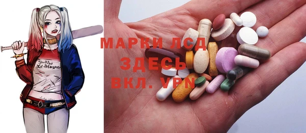 прущие грибы Володарск