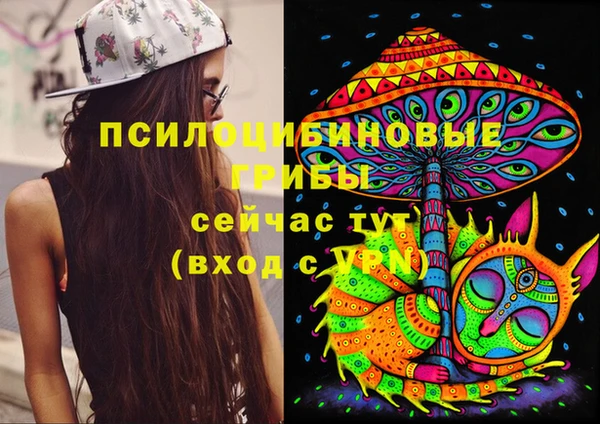 эйфоретик Волосово