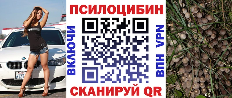 Псилоцибиновые грибы MAGIC MUSHROOMS сколько стоит Знаменск